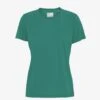 Colorful Standard Women Light Organic Tee - Pine Green -Active Fashion Store Women Light Organic Tee Women T shirt CS2051 Pine Green