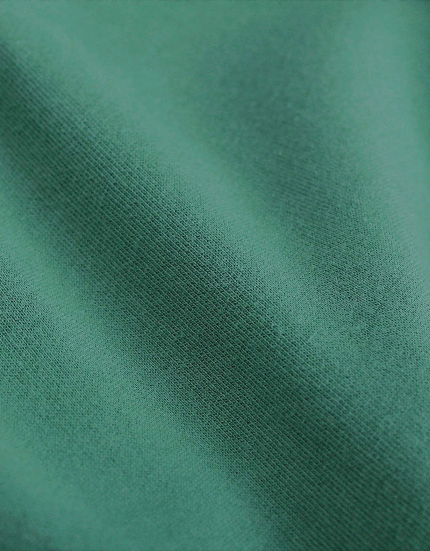 Colorful Standard Women Light Organic Tee - Pine Green 7 Colorful Standard Women Light Organic Tee - Pine Green - Image 5